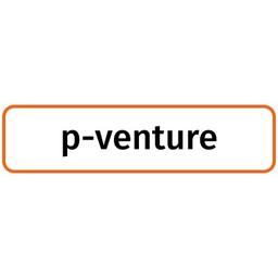 p-venture GmbH Logo