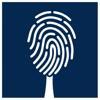 Personal Branding Institut Logo
