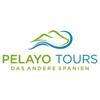 Pelayo Tours Logo