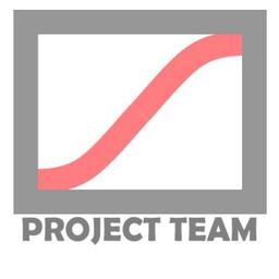 ProjectTeam® International Ltd Logo