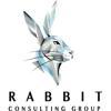 Rabbit Consulting Group Logo