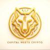 RMG WOLFPACK CAPITAL Logo