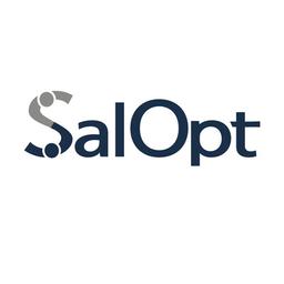 SalOpt GmbH Logo