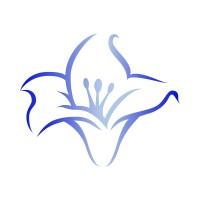 DigitalOx Ltd Logo