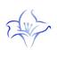 DigitalOx Ltd Logo