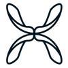 Skyseed Logo