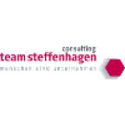 team steffenhagen consulting GmbH Logo