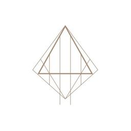 vaders.dye Logo