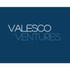 Valesco Ventures Logo