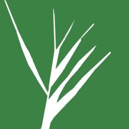 Mayer & Kollegen Steuerberatungsgesellschaft Logo