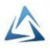 Salaw und Partner Consulting Group Logo