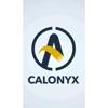 Calonyx Nigeria Limited Logo