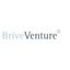 Brive Venture GmbH Logo