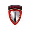 Special Operations Command Europe Logo