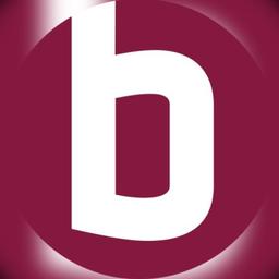 BeraterNetz Mainfranken Logo