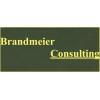 Brandmeier Consulting Logo