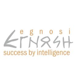 Egnosi Logo