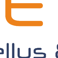 Entellus & Co Logo