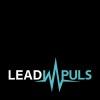 LeadImpuls – by kesselhaus GmbH Logo
