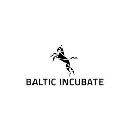 Baltic Incubate - Business Angel-Netzwerk MV (BAIN) Logo