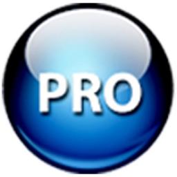Pro IT City Ltd Logo