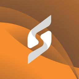 Salzer & Siegel Logo