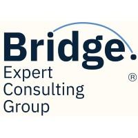 Bridge Expert Consulting Group Logo