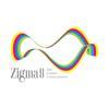 ZIGMA8 FZ-LLC Logo