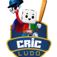 Cricludo Logo