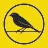 Canary Bar Logo