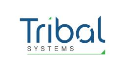Tribal Systems Logo