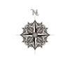 North Star Sanctum Logo