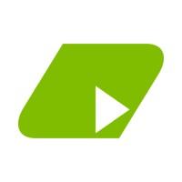 Wise & Co Accountants Logo