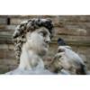 Visit Italy Tours Logo
