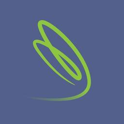 Dragonfly Strategists Logo