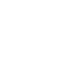 Adelfos Web Design Logo