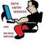Microsoft Excel Data Entry Logo