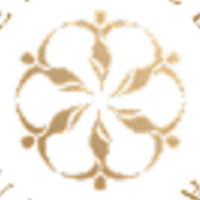 Enfield Royal Houston – Med Spa of Tomball Logo