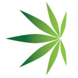 American Cannabis Company Logo