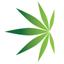 American Cannabis Company Logo