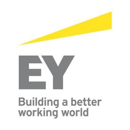 UMT Consulting Group (acquired by EY) Logo
