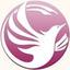 Phoenix Virtual Solutions Logo