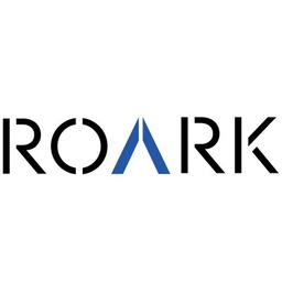 ROARK CONSULTING Logo