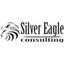 Silver Eagle Consulting Logo