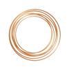 Arizona Sonoran Copper Company Inc. (ASCU:TSX | ASCUF:OTCQX) Logo