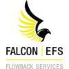 Falcon | EFS Flowback Services Logo