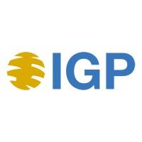 IGP - International Group Program Logo