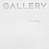 Gallery Ventures Logo