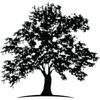 White Oak Global Advisors Logo
