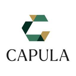 Capula Investment Management LLP Logo